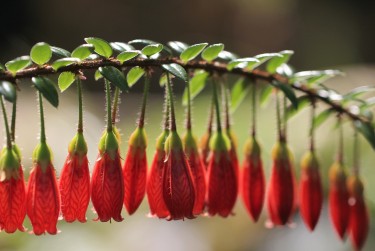 广州增城区私人快速借钱网，轻松解决资金难题