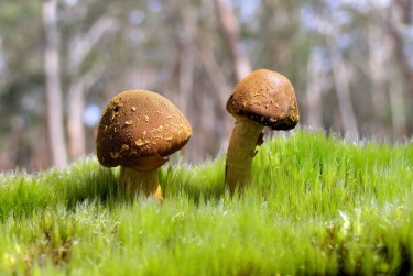 广州增城区私人老板放款：轻松融资的秘密通道